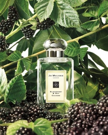 Bottle photo  Jo Malone