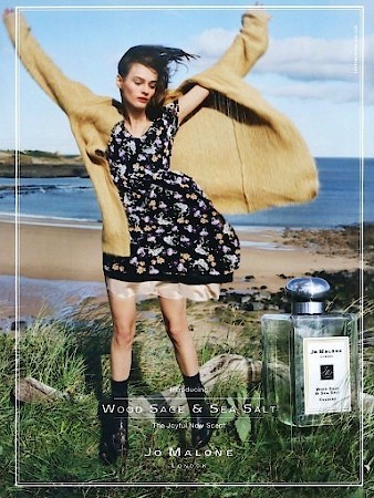 Wood Sage & Sea Salt