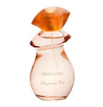 Inizzio