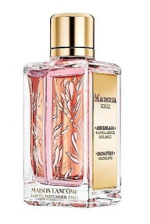 Magnolia Rosae