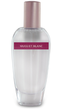 Bottle photo  Laurence Dumont