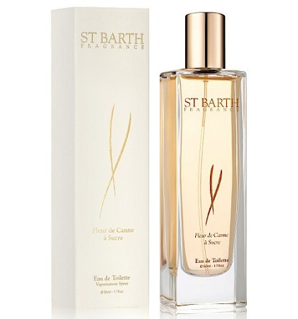 Ligne St. Barth Fleur de Canne a Sucre