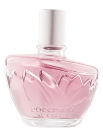 香水瓶照片  L`Occitane en Provence