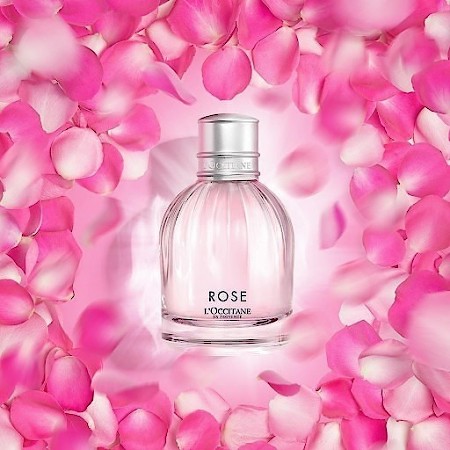 Bottle photo L`Occitane en Provence Rose 2018