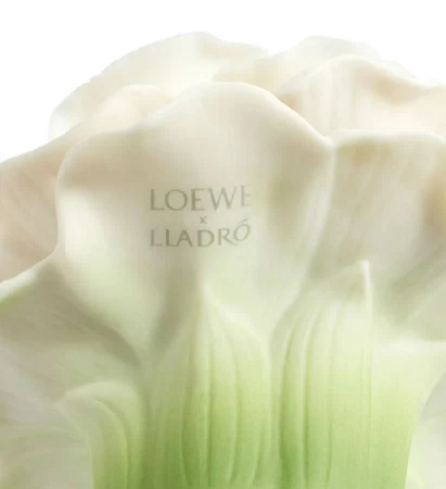 香水瓶照片  Loewe
