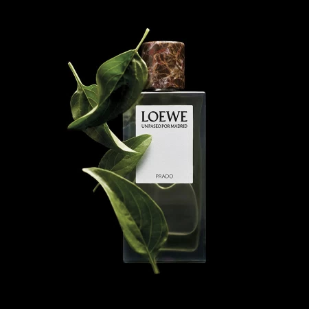 Bottle photo  Loewe