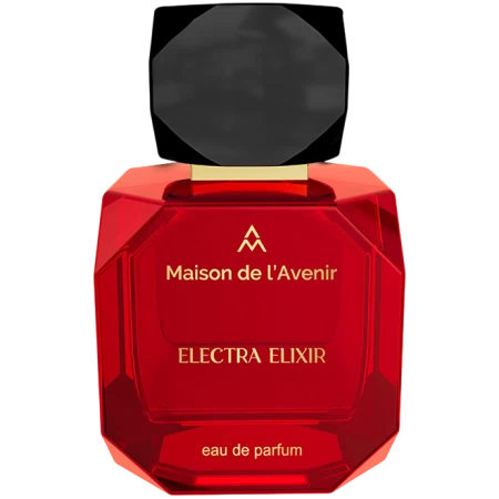 Maison de l'Avenir Electra Elixir