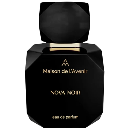 Maison de l'Avenir Nova Noir