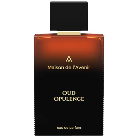 Maison de l'Avenir Oud Opulence