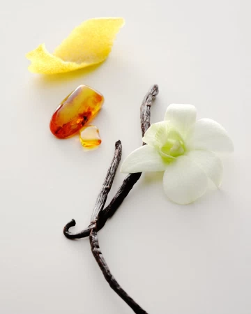 香水瓶照片  Maison Louis Marie