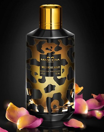 Wild Rose Aoud