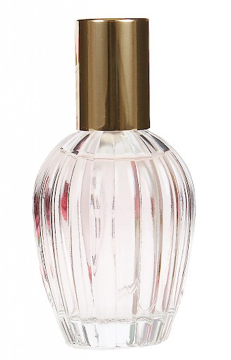 Floral Collection Magnolia