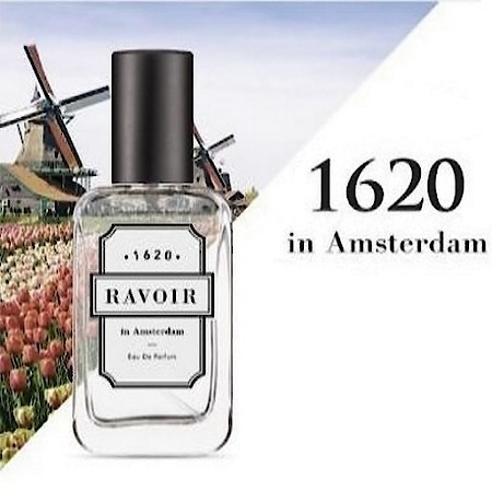 Missha 1620 In Amsterdam