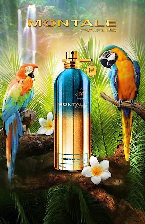 Bottle photo Montale Tropical Wood