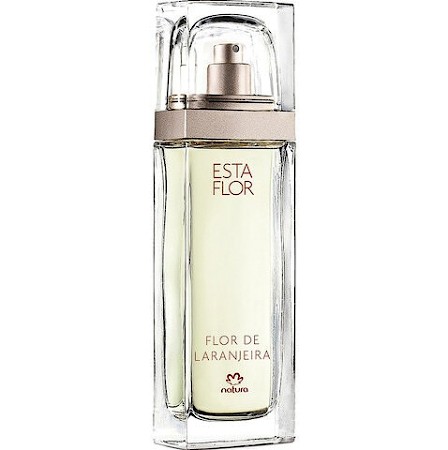 Natura Esta Flor - Flor de Laranjeira