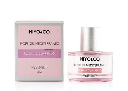 Fiori del Mediterraneo - Rosa Acquarello