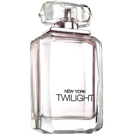 NY&C / New York & Company New York Twilight
