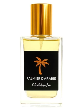 Palmier D'Arabie