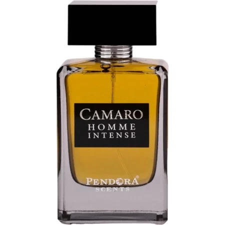 Camaro Homme Intense