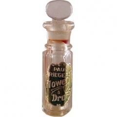 Bottle photo  Paul Rieger