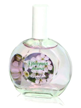 Pokrovka Trading House Cherry Blossom Цветущая Вишня