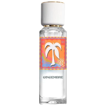 Gingembre Édition Limitée