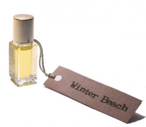 Scent by the Sea Winter Beach