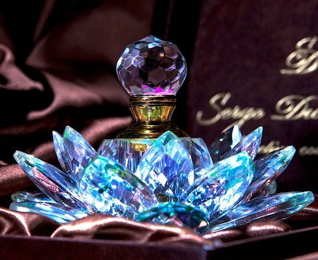 Serge Dumonten Lotus