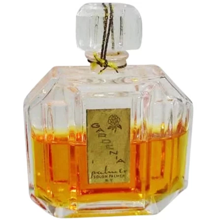 Solon Palmer Gardenia