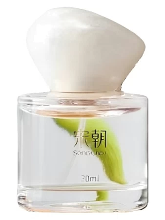 Song Chao 宋朝香氛 越界