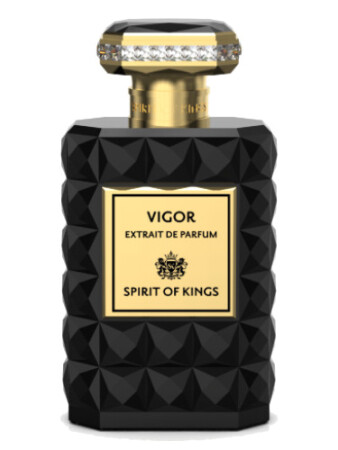Spirit Of Kings Vigor