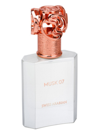 Musk 07