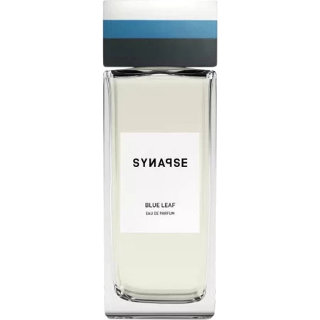 Synapse Blue Leaf