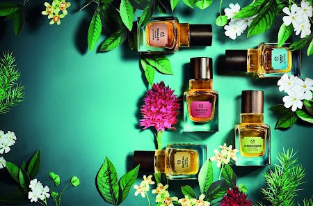 The Body Shop Swietenia