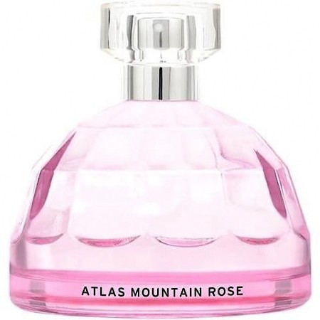 Atlas Mountain Rose