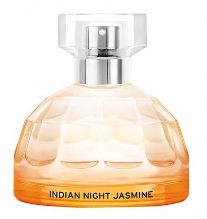 Indian Night Jasmine