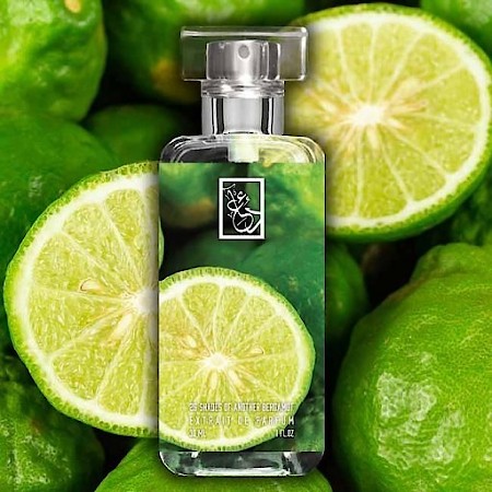 25 Shades of Another Bergamot