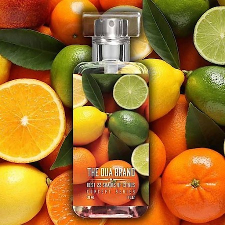 Best 22 Shades of Citrus