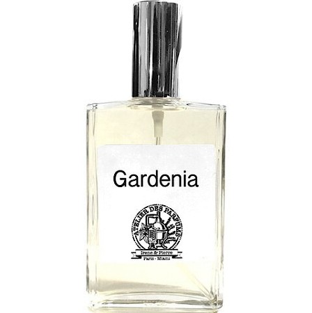 Therapia by Aroma Gardenia