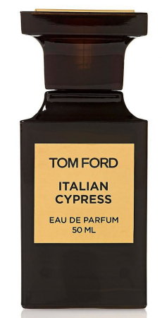 Italian Cypress