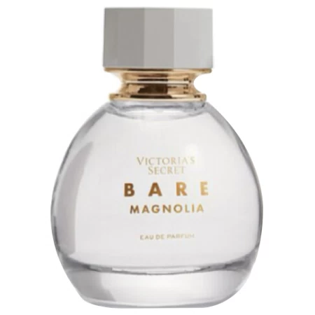 Bare Magnolia