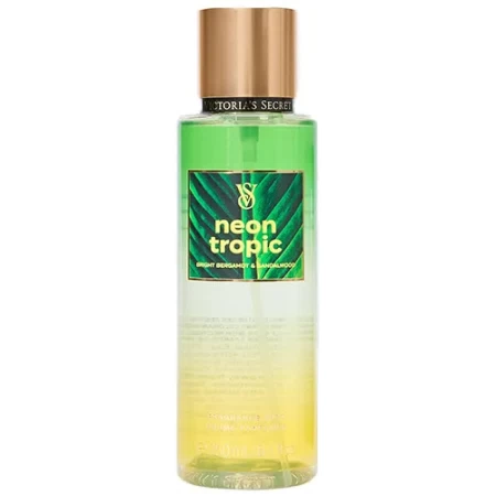 Neon Tropic 2024