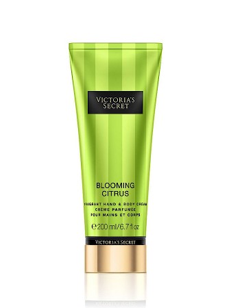 Blooming Citrus