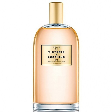 Bottle photo Victorio & Lucchino Aguas De №6