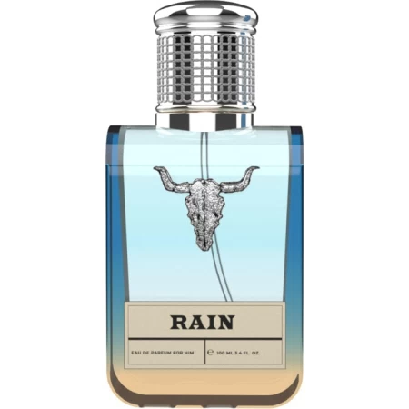 Wacken Rain