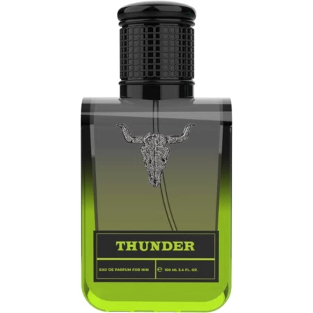 Wacken Thunder