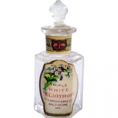 Wm. H. Brown & Bro. Co. Triple White Heliotrope