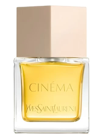 Bottle photo  Yves Saint Laurent
