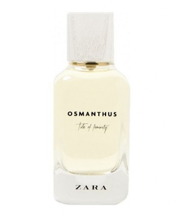 Osmanthus - Tale of Feminity