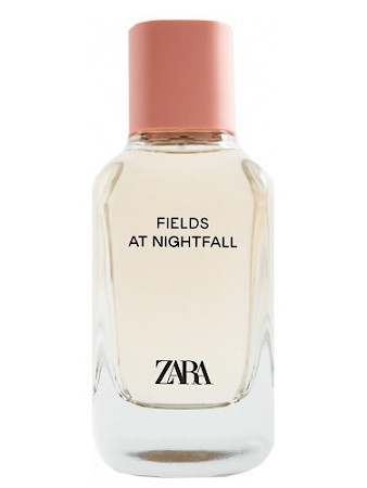Fields At Nightfall 2020
